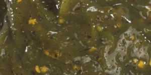 Marinade Thym Citron