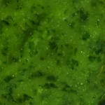 Marinade ail des ours