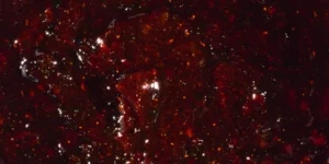 Marinade Tigre qui Pleure