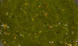 246516 Marinade Curry vert / siam curry