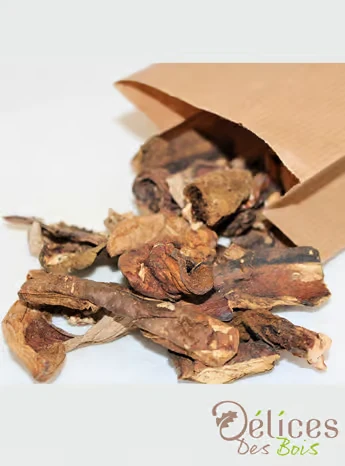 Cèpes - champignons Délices des bois