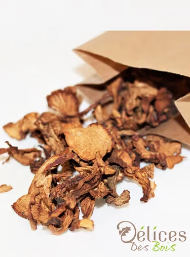 Girolles - SARL Du Rocher