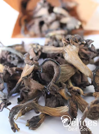 Trompettes de la mort